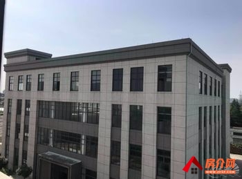 杭州周边湖州28000m²厂房出售，参考报价：5000万元