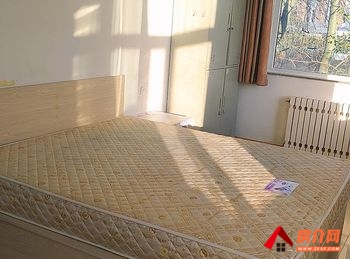 鸿立公寓小区房屋出租，开发区鸿立公寓，1室0厅房子出租(整租)，欢迎联系