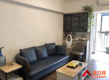 龙湖大悦花园(商住楼)，2室1厅房子出租(整租)，租金每月2500元