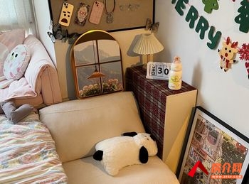 桥西三奕润城，3室2厅房子出租(合租)，租金每月288元