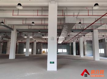 增城新塘8000m²厂房出租，参考报价：面议
