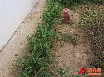 沭阳沭阳开发区4000m²厂房出售，参考报价：220万元