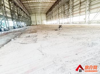 雁江正兴街3100m²厂房出售，参考报价：768万元