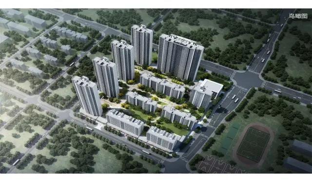 厦门国贸学原三期