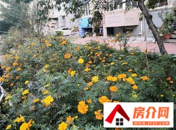 阜新金月湾