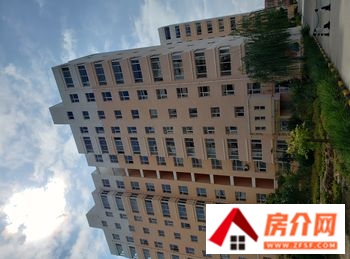 定边福安(定边)