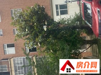 咸宁碧桂园丹桂香堤(别墅)