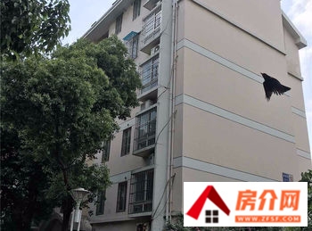 南京新城花漾紫郡