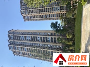 岳阳中建岳阳中心小区房价多少，岳阳中建岳阳中心值不值得买，岳阳中建岳阳中心小区详细介绍