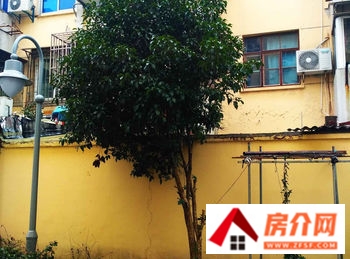 泰州鹏欣丽都(东区)小区房价，泰州鹏欣丽都(东区)小区值不值得买，泰州鹏欣丽都(东区)详细介绍