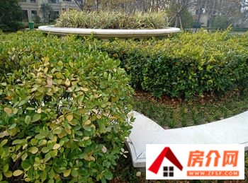 亳州珍宝岛香缇雅苑