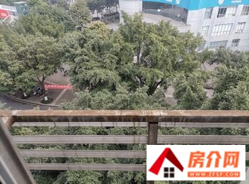 泸州天立观澜国际