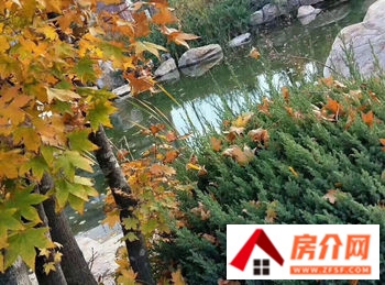 沈阳经典生活