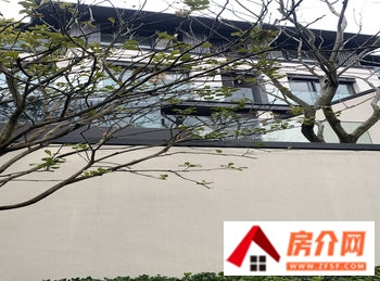 南京钟山国际高尔夫