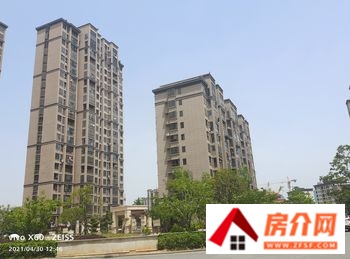 安庆曙光苑景