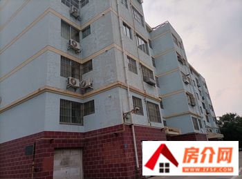广饶金帝花苑