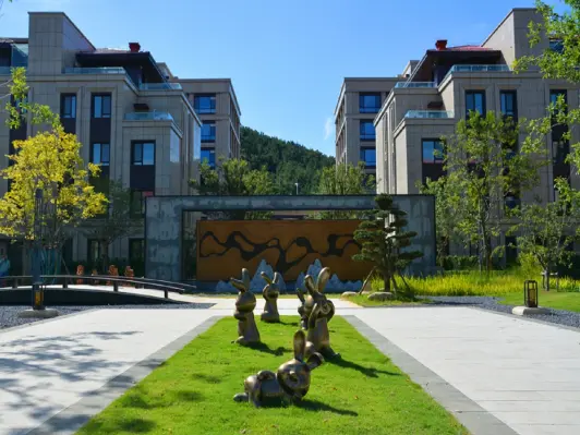 青岛午山国际