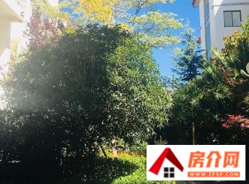 丽江玉龙园小区房价，丽江玉龙园小区值不值得买，丽江玉龙园详细介绍