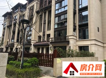 舟山长峙岛香樟园