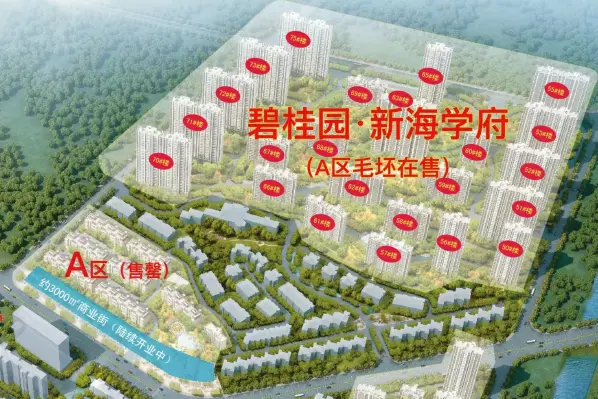 连云港碧桂园·新海学府