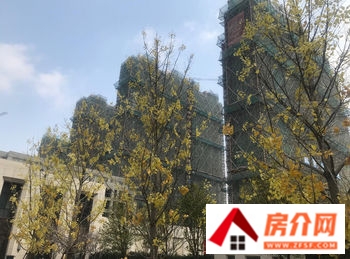 句容天悦容城