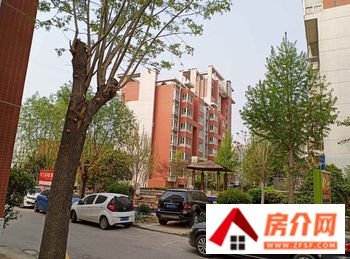 聊城金柱文苑小区怎么样，聊城金柱文苑值不值得买，聊城金柱文苑小区详细介绍