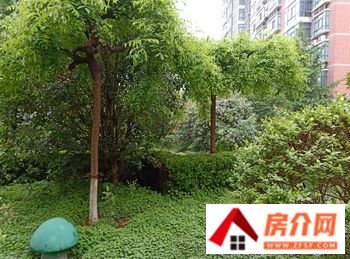 焦作赛纳溪谷