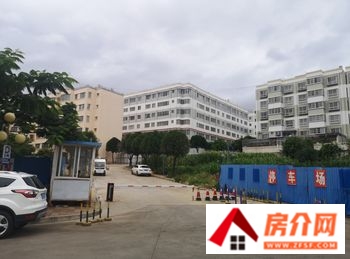 红河金水湖畔