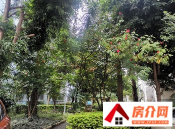 红河红河新视界