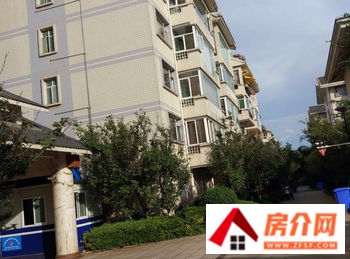 金领时代